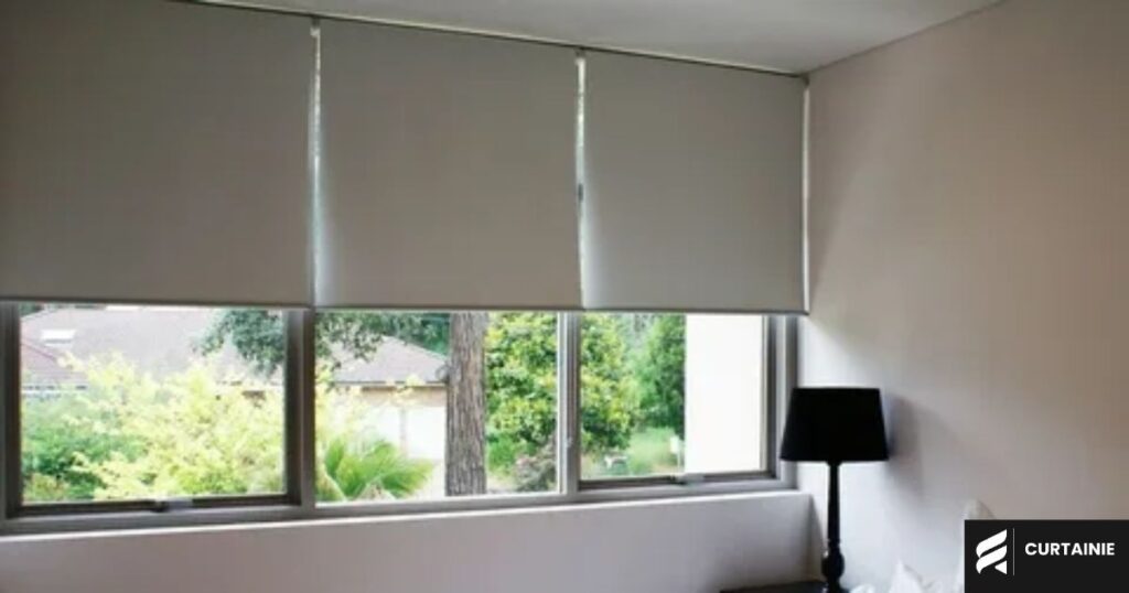 ultimate guide roller shades pros and cons