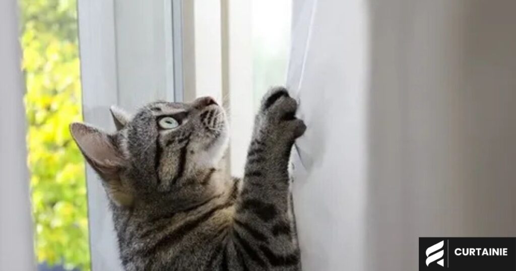 cat proof sheer curtain