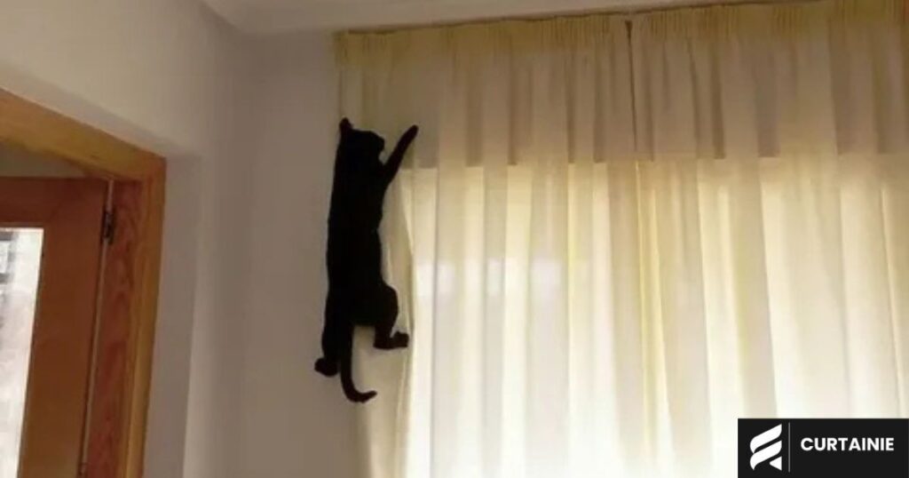 cat proof sheer curtain